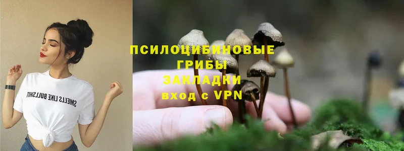 Псилоцибиновые грибы Magic Shrooms  Урай 